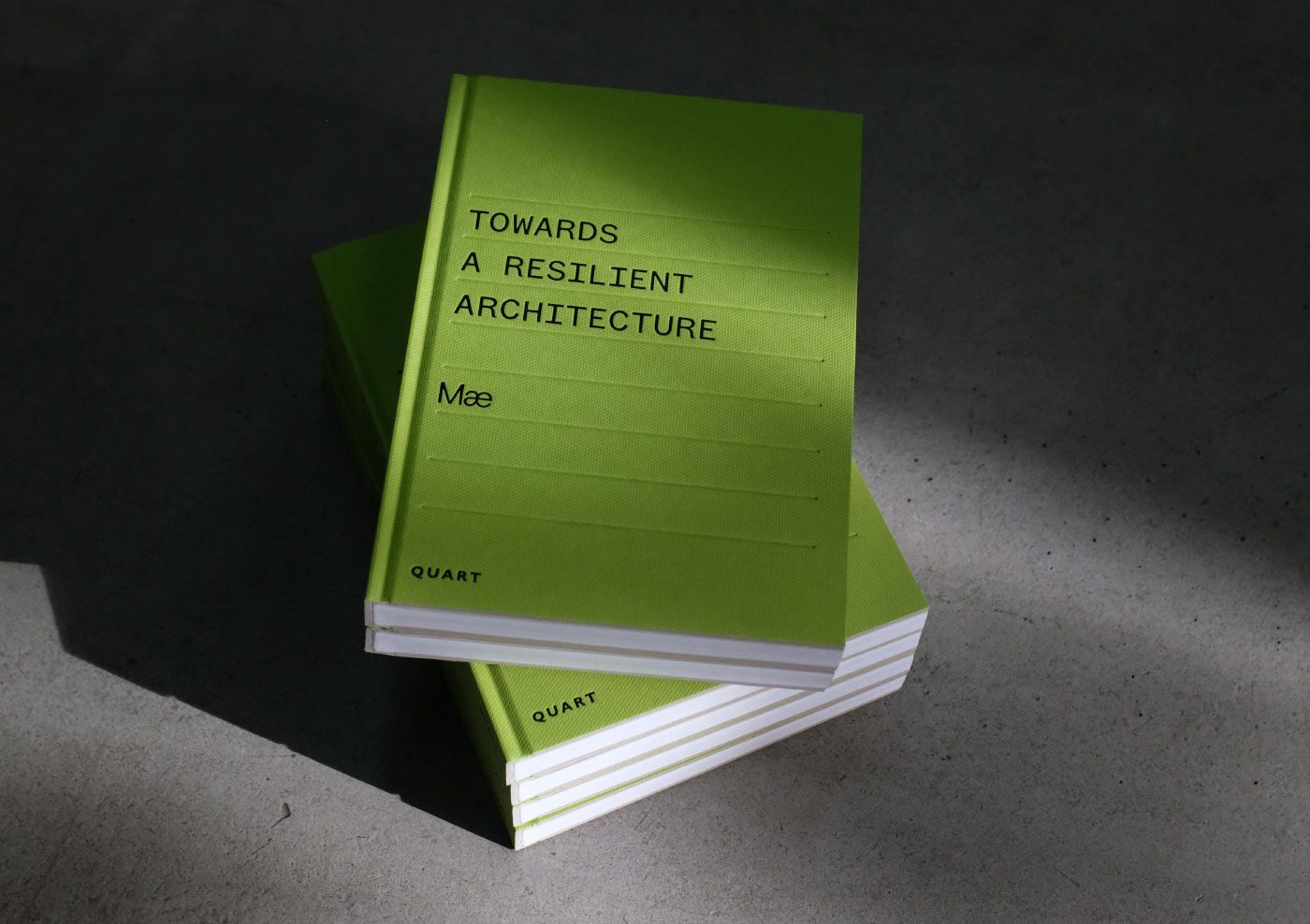 Mae Towards A Resilient Architecture 01