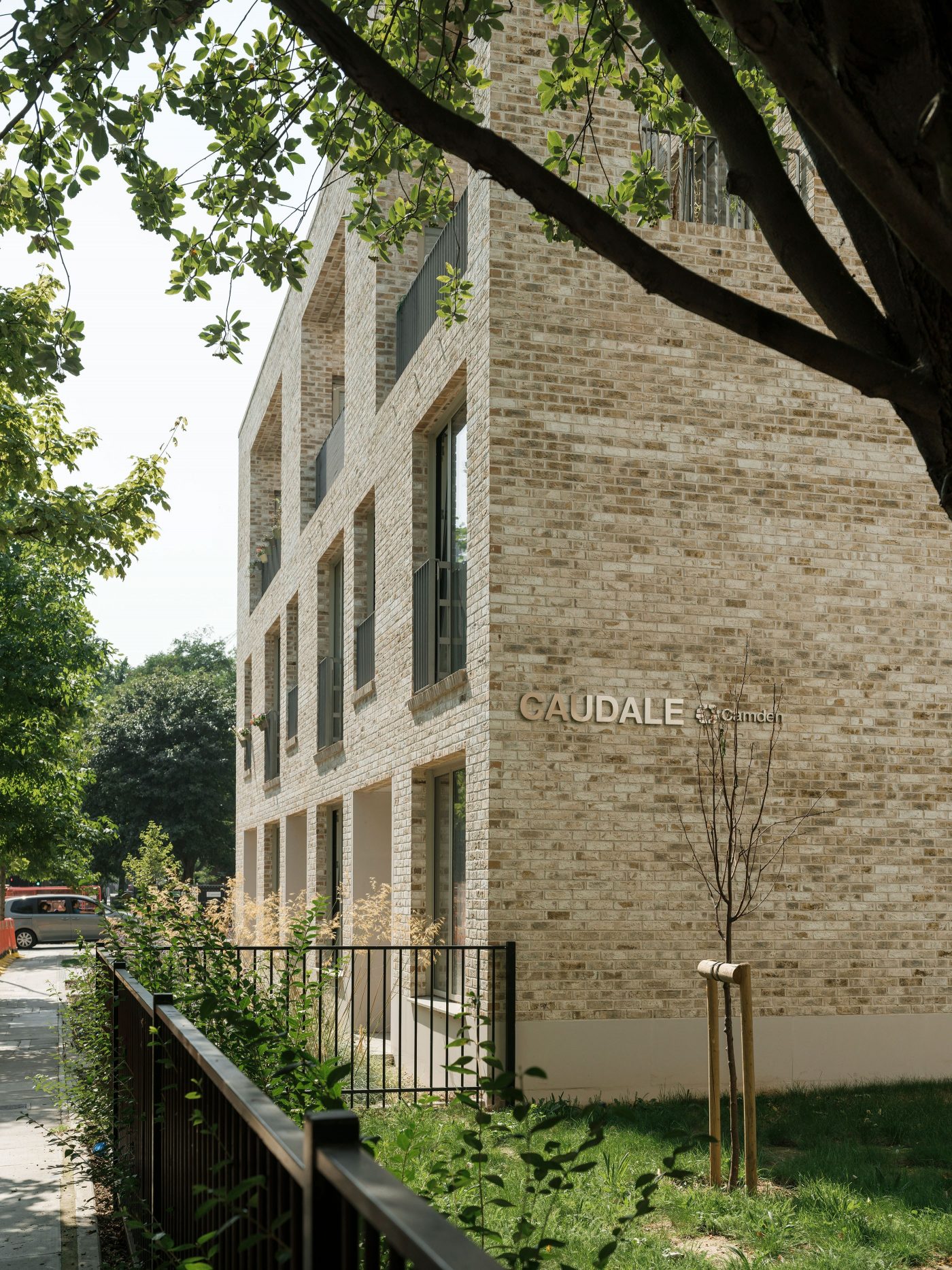 Ribaawards Caudale Sfw