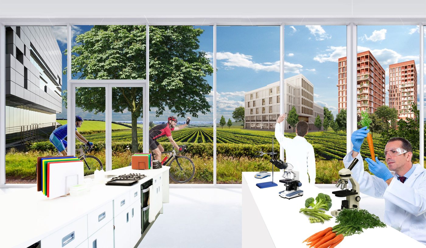 Sfw Oxford Cambridge04 V3